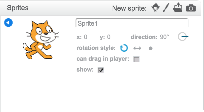 Screenshot of User's Interface for Controls Determining the Sprite's Physical Orientation